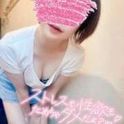 ヒメ日記 2025/05/31 18:23 投稿 ほのか しろうさぎ