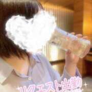 ヒメ日記 2025/07/12 23:53 投稿 ほのか しろうさぎ