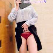 ヒメ日記 2025/07/24 11:03 投稿 ほのか しろうさぎ