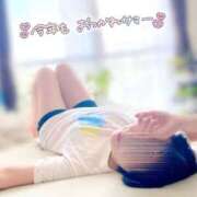 ヒメ日記 2025/07/30 08:23 投稿 ほのか しろうさぎ