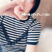 ヒメ日記 2025/08/05 17:03 投稿 ほのか しろうさぎ