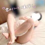 ヒメ日記 2025/08/22 10:15 投稿 ほのか しろうさぎ