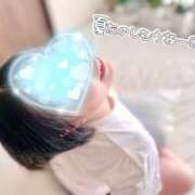 ヒメ日記 2025/08/28 11:03 投稿 ほのか しろうさぎ