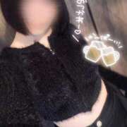 ヒメ日記 2025/11/27 20:33 投稿 ほのか しろうさぎ