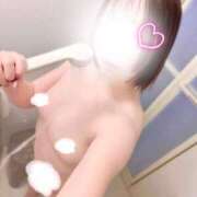 ヒメ日記 2025/12/29 11:33 投稿 ほのか しろうさぎ