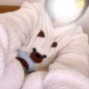 ヒメ日記 2026/01/15 13:13 投稿 ほのか しろうさぎ