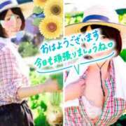 ヒメ日記 2024/12/16 07:16 投稿 三浦あずみ MADAM