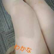 ヒメ日記 2025/01/08 15:04 投稿 わかこ 即アポ奥さん～浜松店～