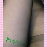 ヒメ日記 2025/03/27 14:54 投稿 わかこ 即アポ奥さん～浜松店～