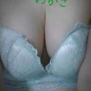 ヒメ日記 2025/05/13 14:14 投稿 わかこ 即アポ奥さん～浜松店～