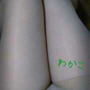 わかこ なめなめ 即アポ奥さん～浜松店～