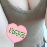 ヒメ日記 2026/03/23 12:24 投稿 わかこ 即アポ奥さん～浜松店～