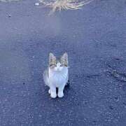 ヒメ日記 2025/01/23 09:48 投稿 はづき RIZE（リゼ）