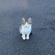 ヒメ日記 2025/08/12 07:48 投稿 はづき RIZE（リゼ）