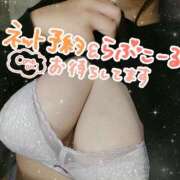 ヒメ日記 2025/02/18 14:19 投稿 はく Mrs.Rufeーミセスルーフー