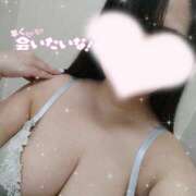 ヒメ日記 2025/03/20 20:29 投稿 はく Mrs.Rufeーミセスルーフー