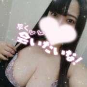 ヒメ日記 2025/04/21 18:49 投稿 はく Mrs.Rufeーミセスルーフー