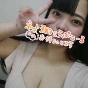 ヒメ日記 2025/06/01 00:19 投稿 はく Mrs.Rufeーミセスルーフー