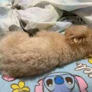 ヒメ日記 2025/05/13 09:31 投稿 りり♡色白美肌可愛い女子♡ 富山高岡ちゃんこ