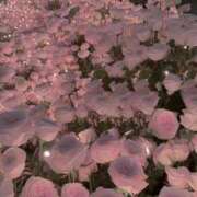 ヒメ日記 2025/09/06 10:26 投稿 りり♡色白美肌可愛い女子♡ 富山高岡ちゃんこ