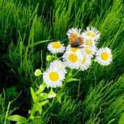 ヒメ日記 2025/04/24 19:02 投稿 ナナクラ 名古屋★出張マッサージ委員会