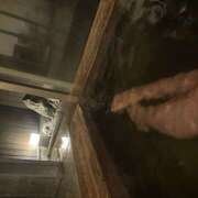 咲（さき） 14:00〜 あなたの妻