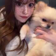 ヒメ日記 2025/11/24 13:42 投稿 はんな【美人で細身の女子大生】 STELLA TOKYO－ステラトウキョウ－