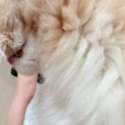 ヒメ日記 2025/02/22 22:52 投稿 桃園 もも 大阪貴楼館