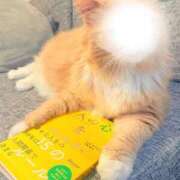 ヒメ日記 2025/03/15 18:42 投稿 桃園 もも 大阪貴楼館