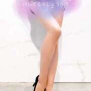 ヒメ日記 2025/04/05 10:22 投稿 桃園 もも 大阪貴楼館