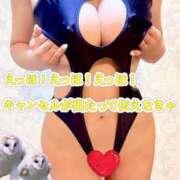 ヒメ日記 2025/04/05 10:42 投稿 桃園 もも 大阪貴楼館