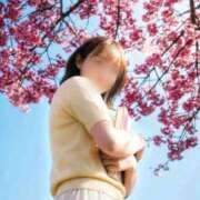 ヒメ日記 2026/04/01 22:12 投稿 桃園 もも 大阪貴楼館