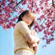 ヒメ日記 2026/04/08 08:02 投稿 桃園 もも 大阪貴楼館