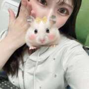ヒメ日記 2025/04/16 12:21 投稿 碧 ロイヤルヴィトン(宇都宮)