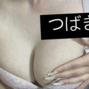 ヒメ日記 2024/12/16 13:57 投稿 つばき ニューティアラ