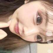 ヒメ日記 2024/12/20 12:17 投稿 つばき ニューティアラ