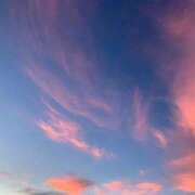 ヒメ日記 2025/07/25 18:21 投稿 玲乃(れの) 人妻城 横浜本店