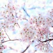 ヒメ日記 2026/04/05 14:42 投稿 玲乃(れの) 人妻城 横浜本店