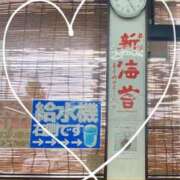 ヒメ日記 2025/11/01 19:56 投稿 レイラ 三浦屋別館