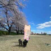 ヒメ日記 2026/04/03 12:16 投稿 レイラ 三浦屋別館