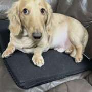 ヒメ日記 2026/03/22 12:58 投稿 神崎るな First Class