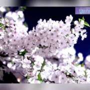 伊藤ゆの ご無沙汰しております〜♪ 東京不倫～とうきょうふりん～