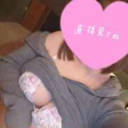 ヒメ日記 2025/02/14 09:59 投稿 一葉 わかな プルプルハウス