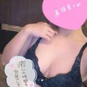 ヒメ日記 2025/09/11 12:11 投稿 一葉 わかな プルプルハウス