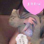 ヒメ日記 2025/11/26 10:01 投稿 一葉 わかな プルプルハウス