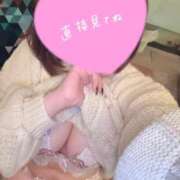 ヒメ日記 2026/03/02 10:02 投稿 一葉 わかな プルプルハウス