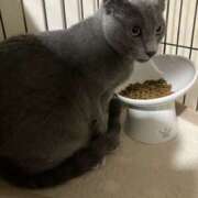 ヒメ日記 2026/02/19 08:16 投稿 かんな ハピネス＆ドリーム 松山道後温泉