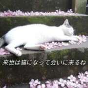 ヒメ日記 2026/04/13 21:36 投稿 ここあ 即プレイ専門店 性の極み