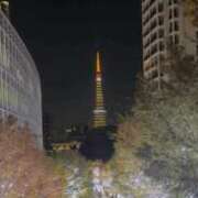 せな check□✔ 舐めたくてグループ〜ペロンチョ学園〜八王子校