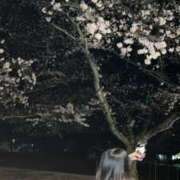 ヒメ日記 2026/04/11 18:09 投稿 せな 舐めたくてグループ〜ペロンチョ学園〜八王子校